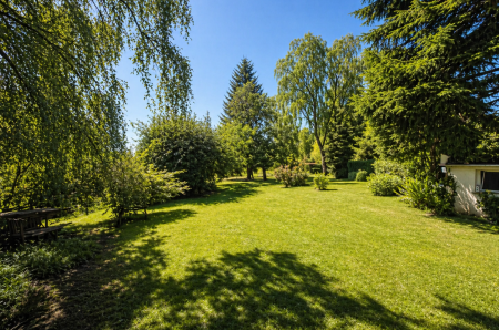Sunlit backyard garden with a trimmed lawn, mature trees, shrubs, and a small wooden bench on the left.
