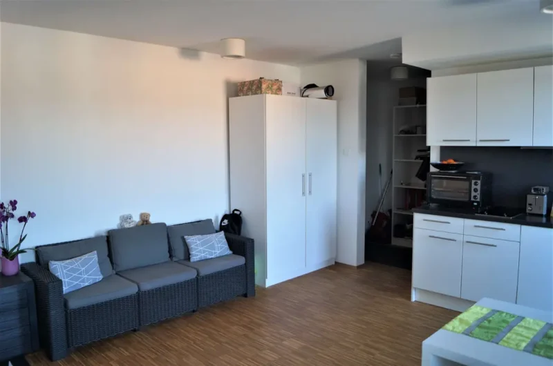 Open-plan living area with a gray wicker sofa and two patterned cushions beside a tall white wardrobe near the kitchen.