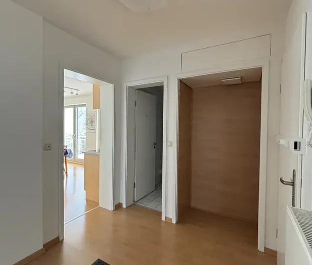 Bright entry hallway with light wood flooring, open doorway to a sunlit living area on the left, and a open closet or alcove on the right; a dark rug sits in the foreground.