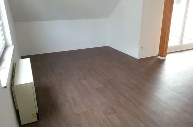 Empty attic-style room with dark wood floor, slanted ceiling, radiator under a window, and a glass door to the outdoors.