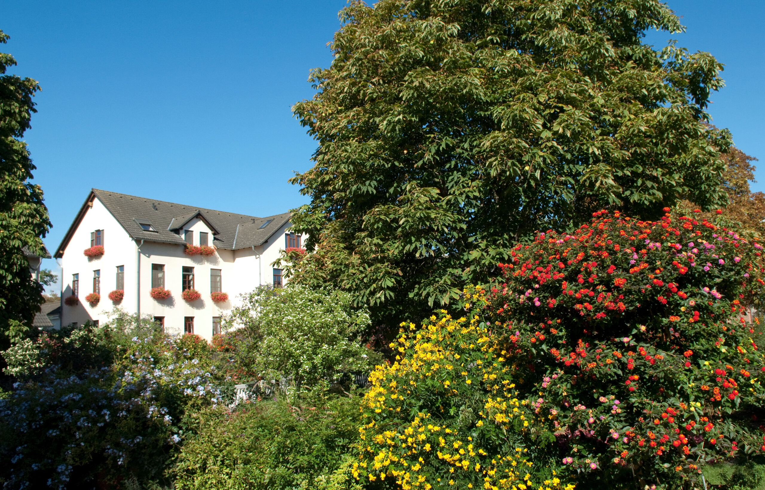 wohnungsverkauf-wiesbaden-erbenheim