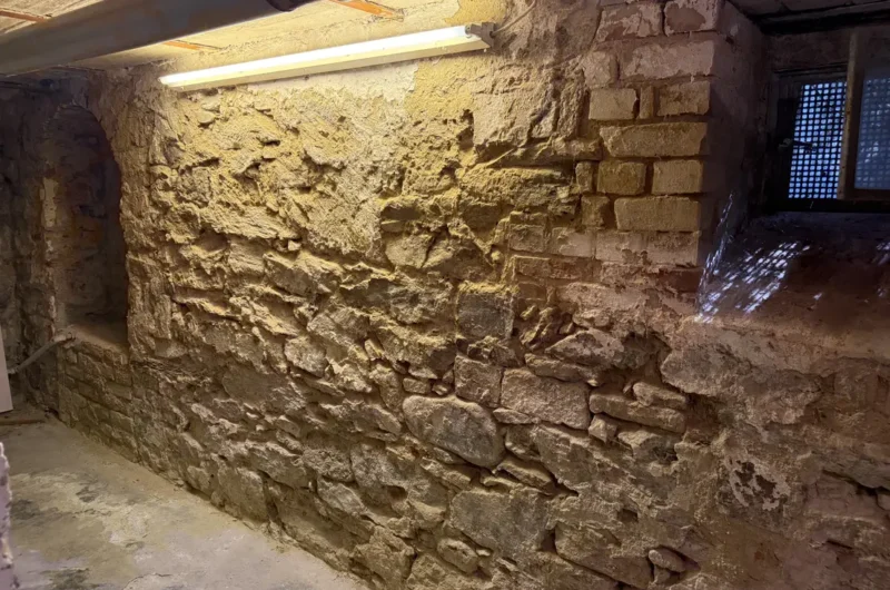 Rough, irregular stone basement wall with a single fluorescent light fixture overhead and a small barred window.