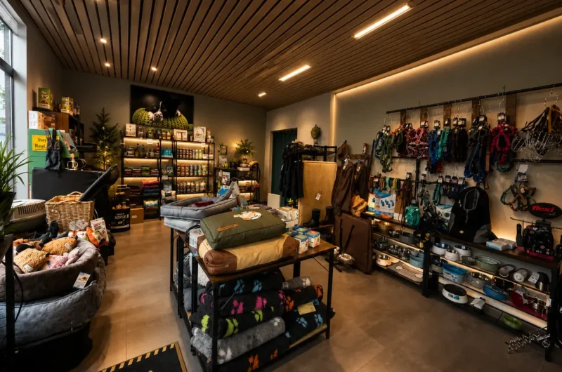 Pet shop interior with shelves of beds, toys, and accessories for dogs and cats; harnesses and bowls line the wall.