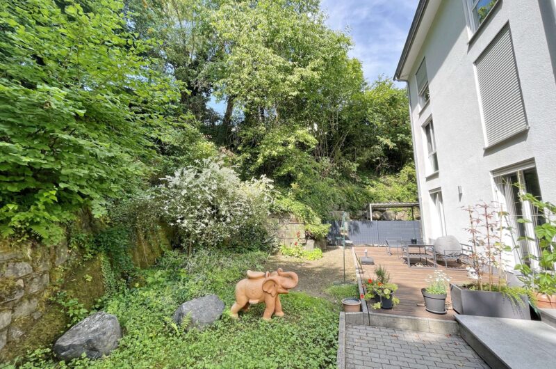 Garden scene with dense green foliage along a stone wall and a white house with large windows on the right, plus a wooden deck and orange elephant statue in the yard.